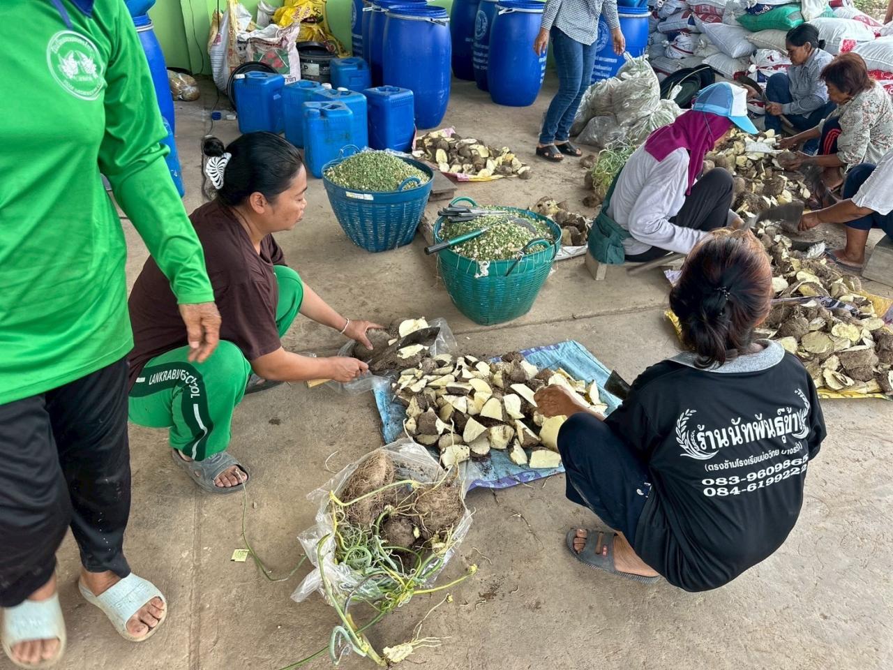 ภาพประกอบที่ 3