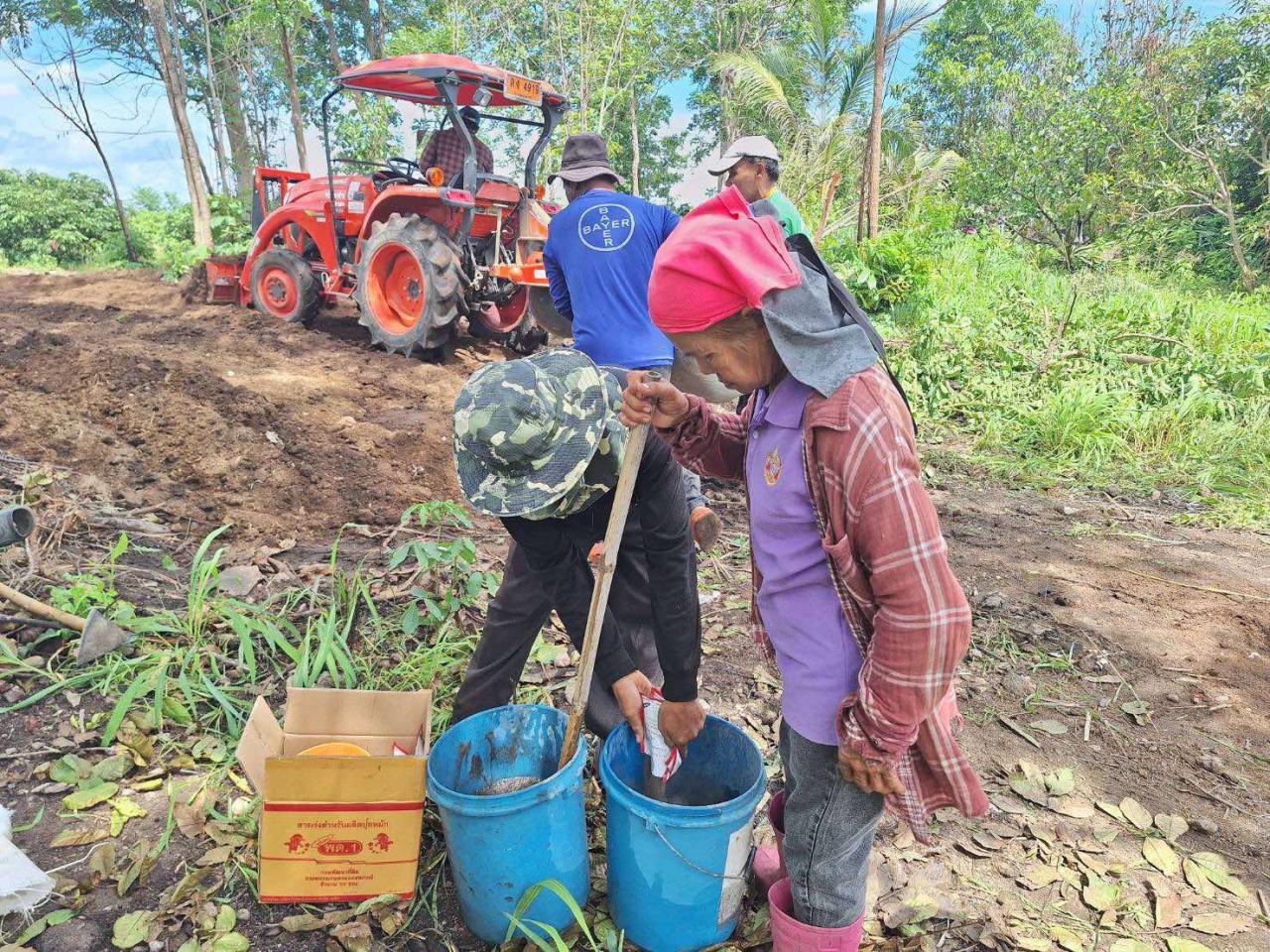 ภาพประกอบที่ 7