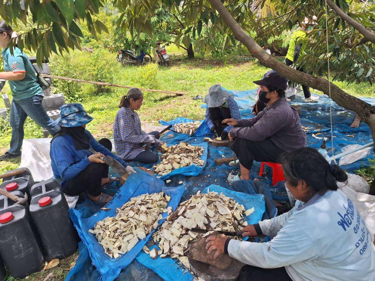 ภาพประกอบที่ 5