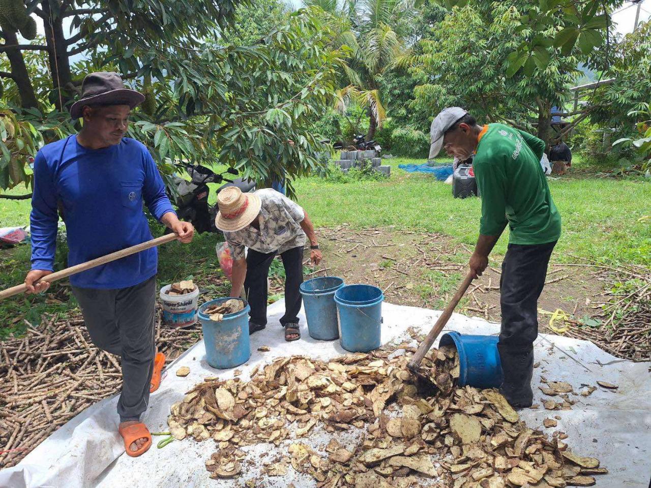ภาพประกอบที่ 4