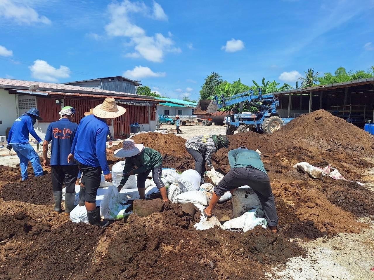 ภาพประกอบที่ 11