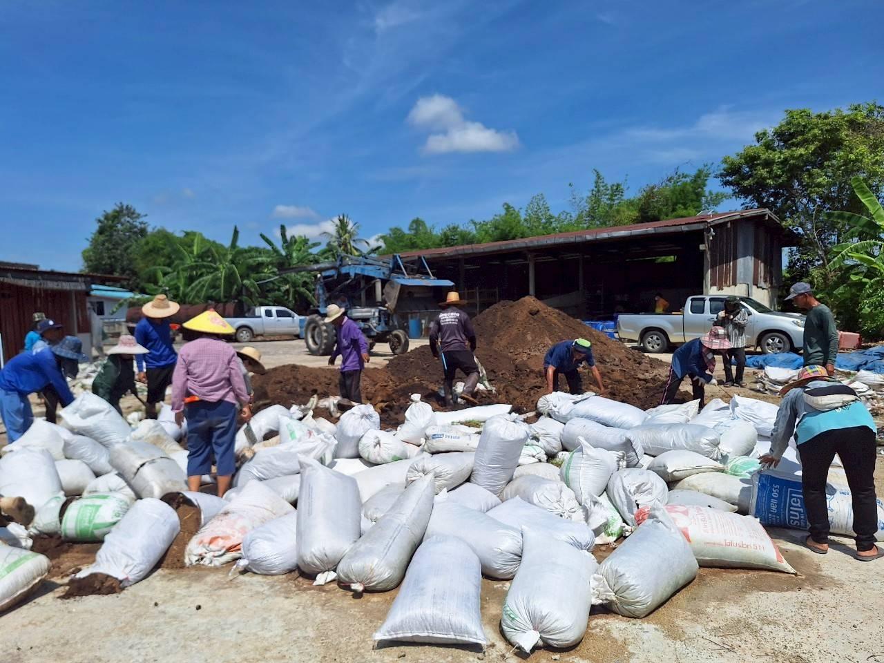 ภาพประกอบที่ 12