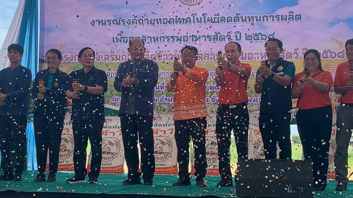 ภาพประกอบที่ 1