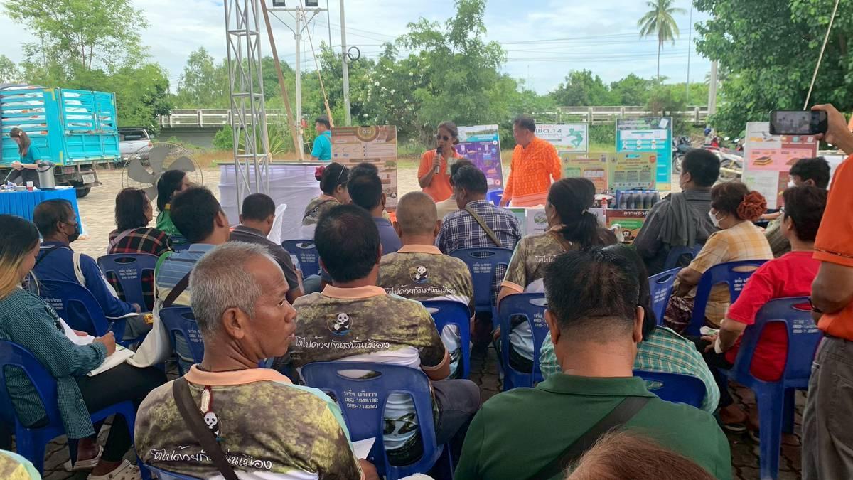 ภาพประกอบที่ 8