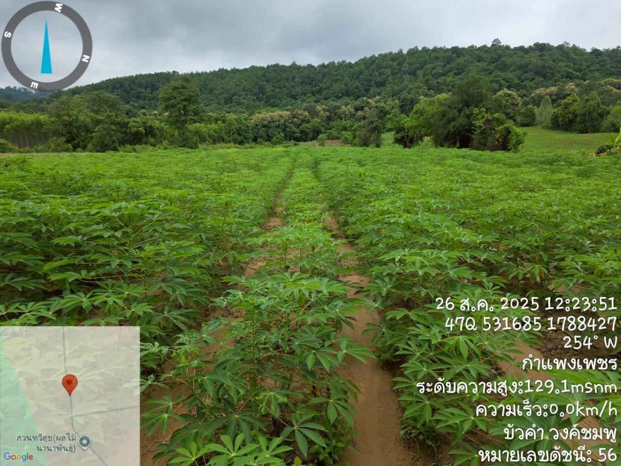 ภาพประกอบที่ 7