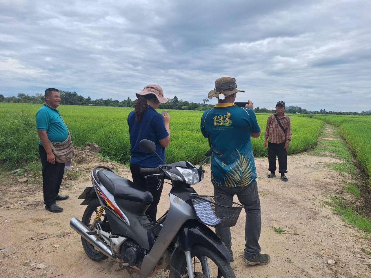 ภาพประกอบที่ 11