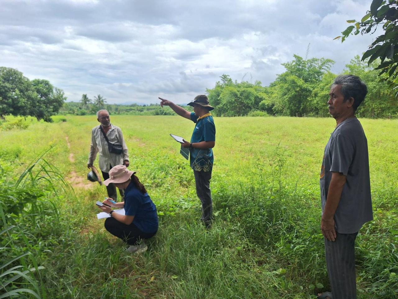 ภาพประกอบที่ 12
