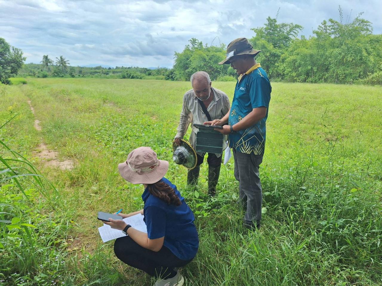 ภาพประกอบที่ 13