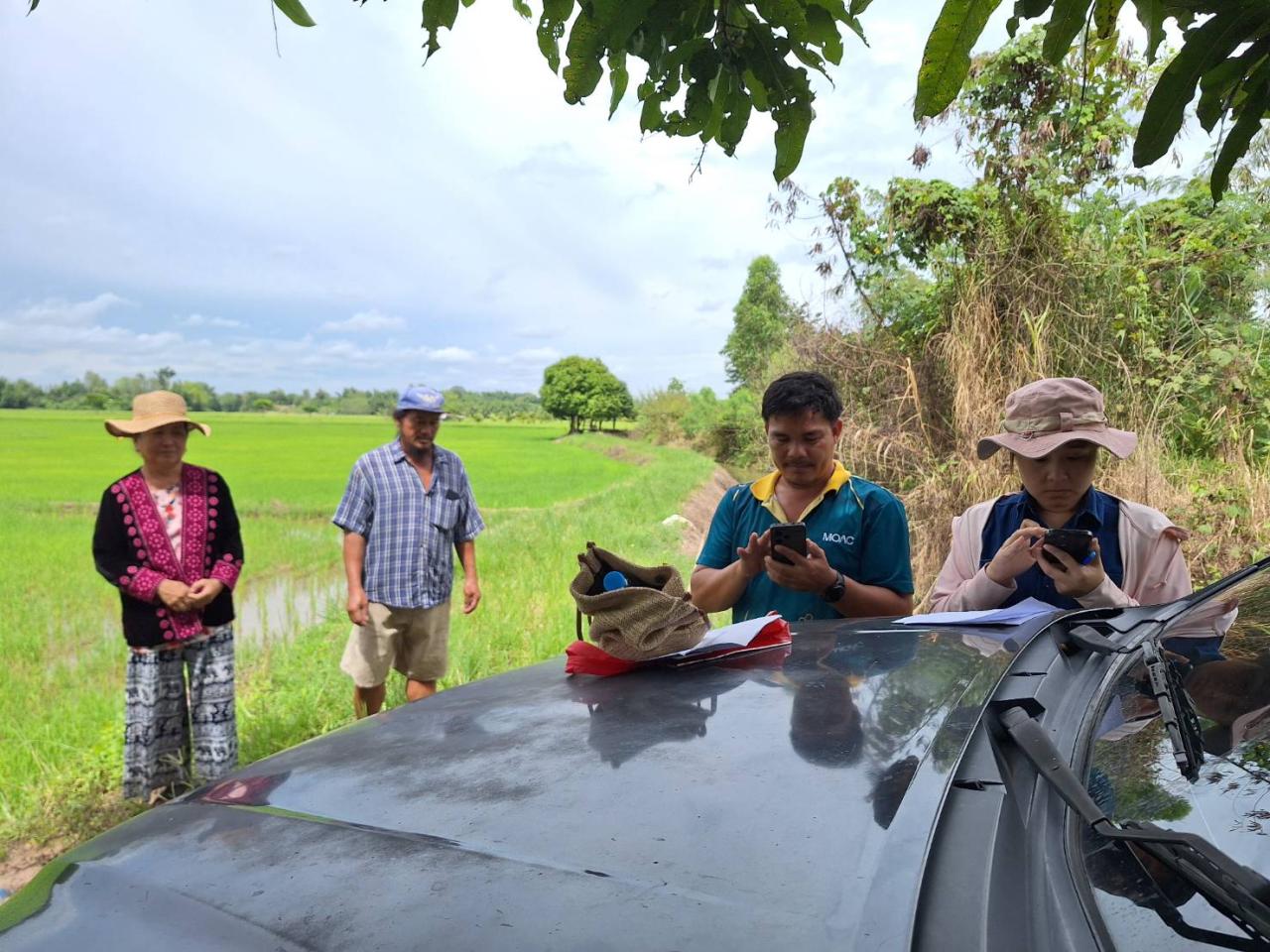 ภาพประกอบที่ 17