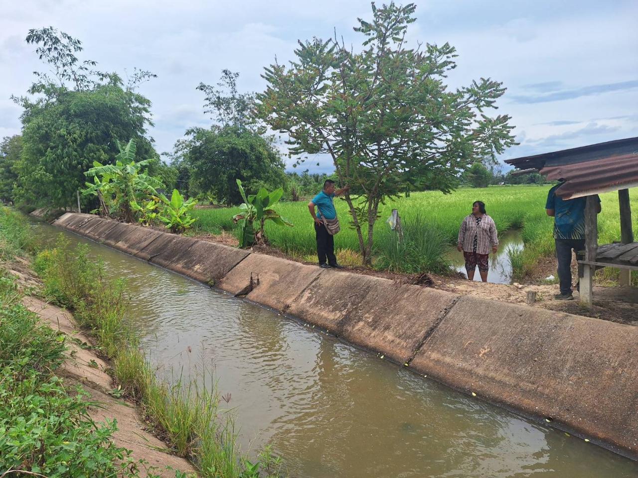 ภาพประกอบที่ 19