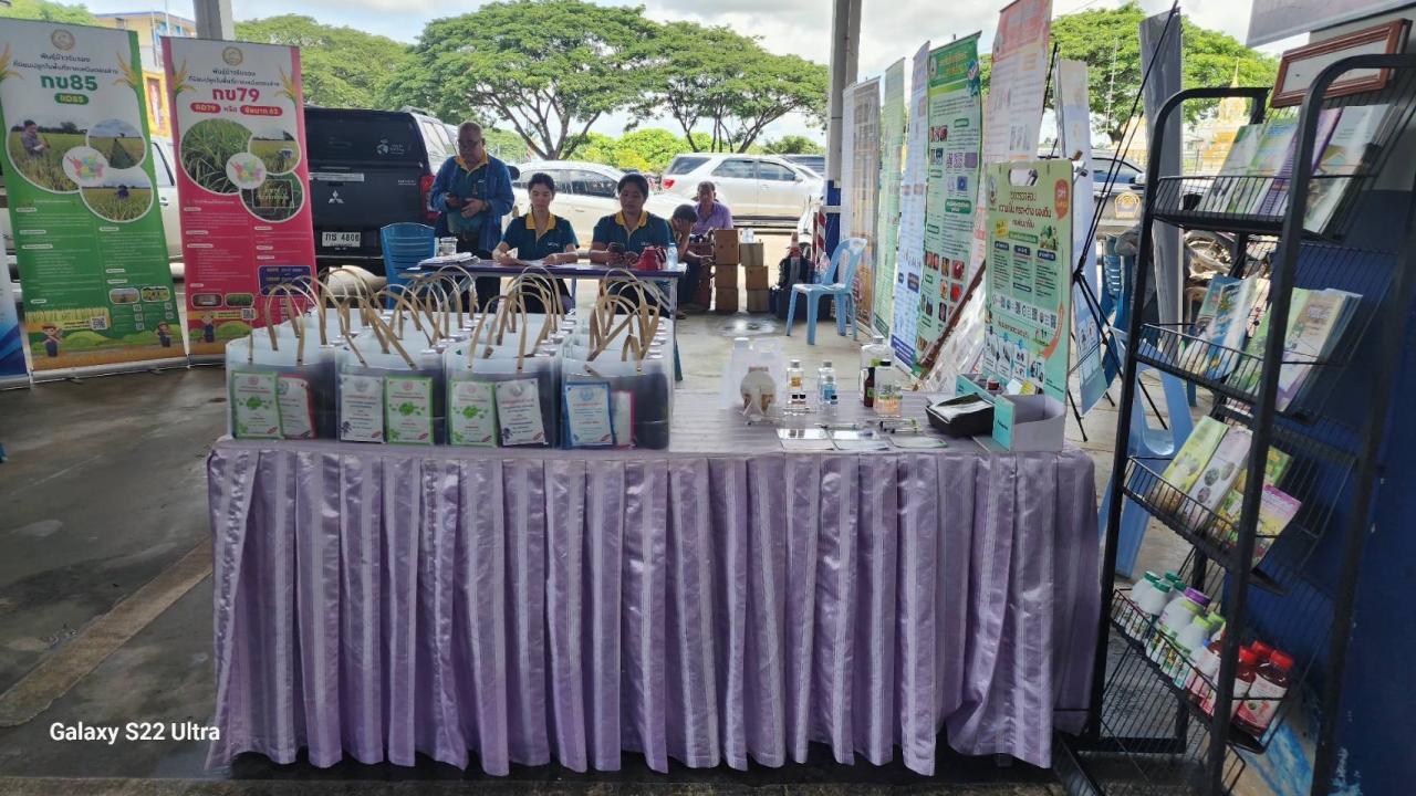 ภาพประกอบที่ 10