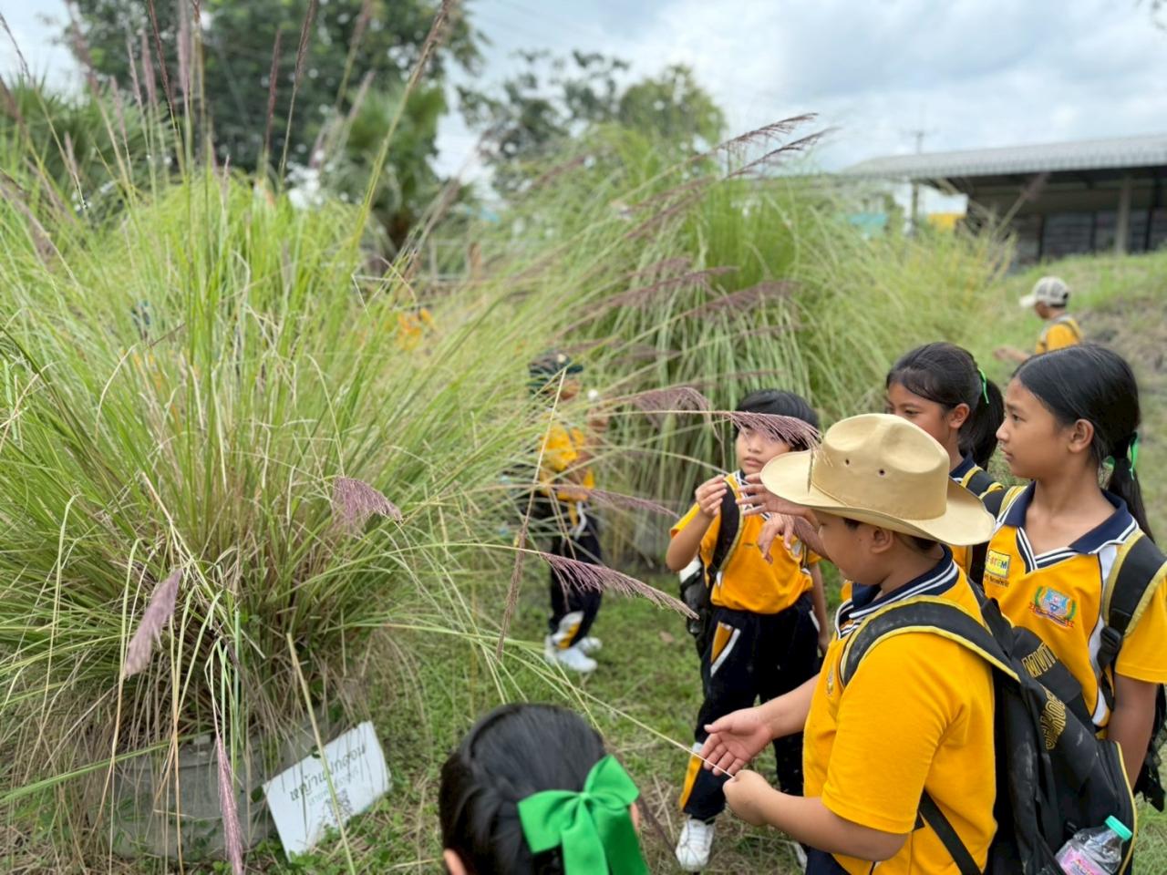ภาพประกอบที่ 7