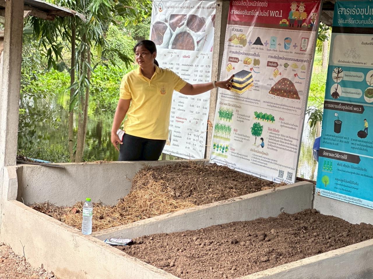 ภาพประกอบที่ 15