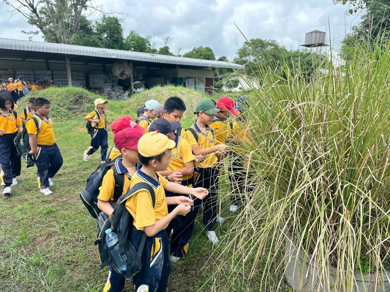 ภาพประกอบที่ 21