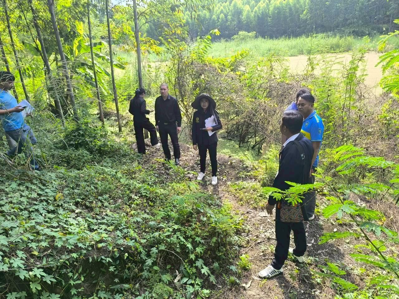 ภาพประกอบที่ 5