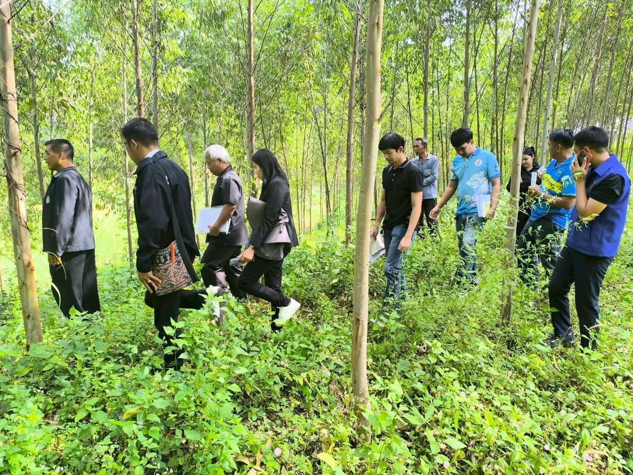 ภาพประกอบที่ 6