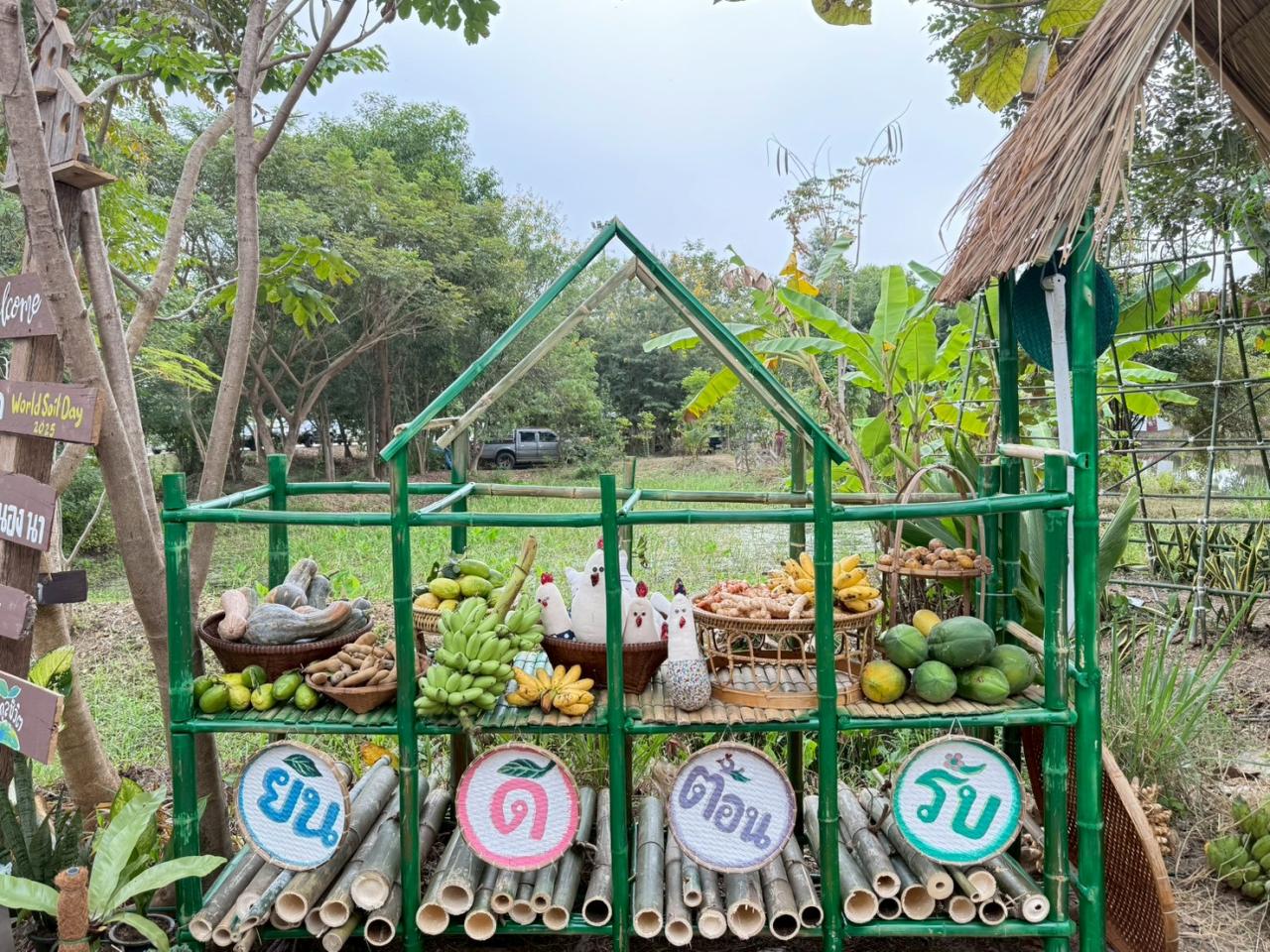 ภาพประกอบที่ 19