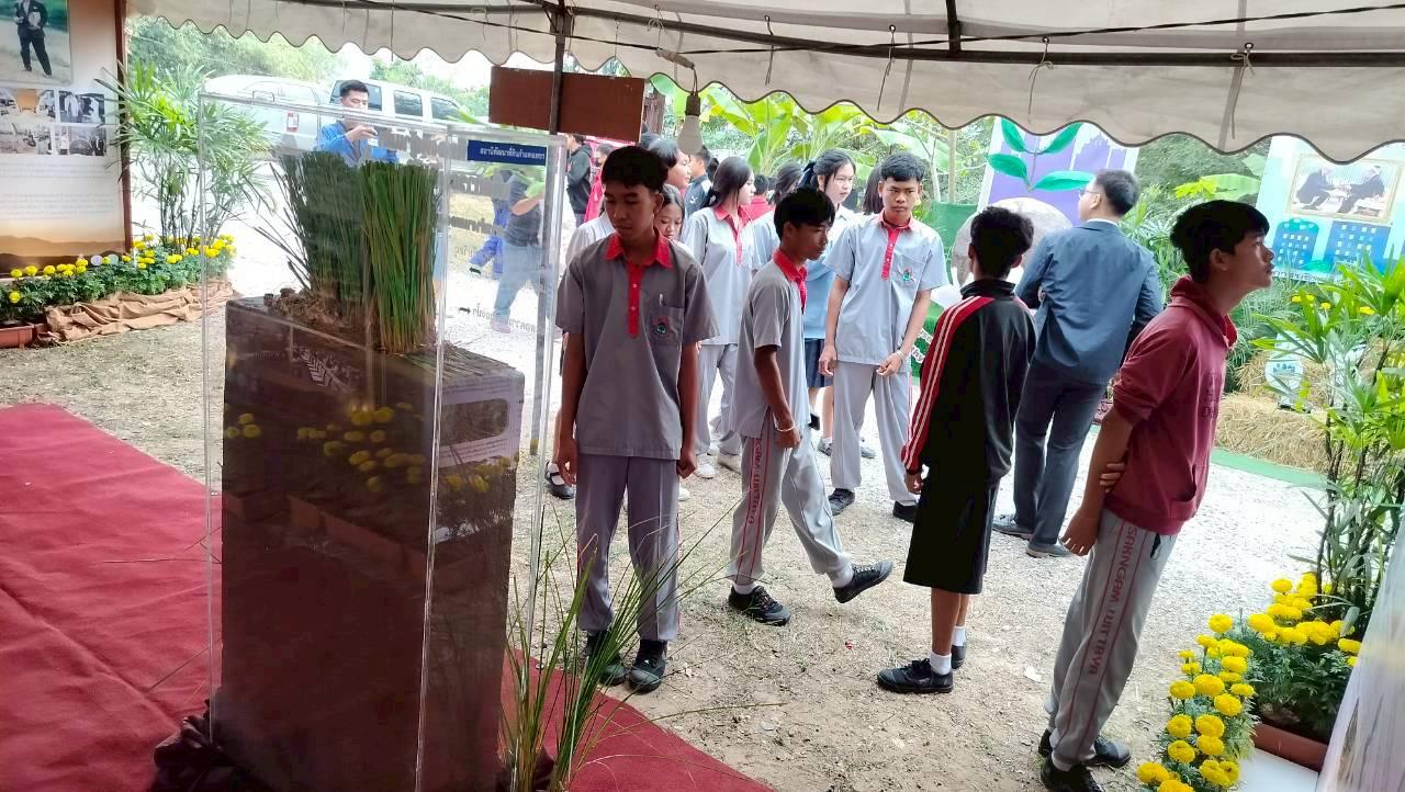 ภาพประกอบที่ 8