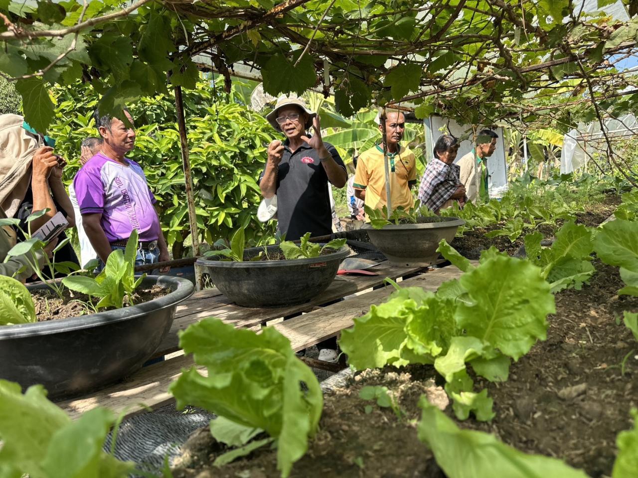 ภาพประกอบที่ 5