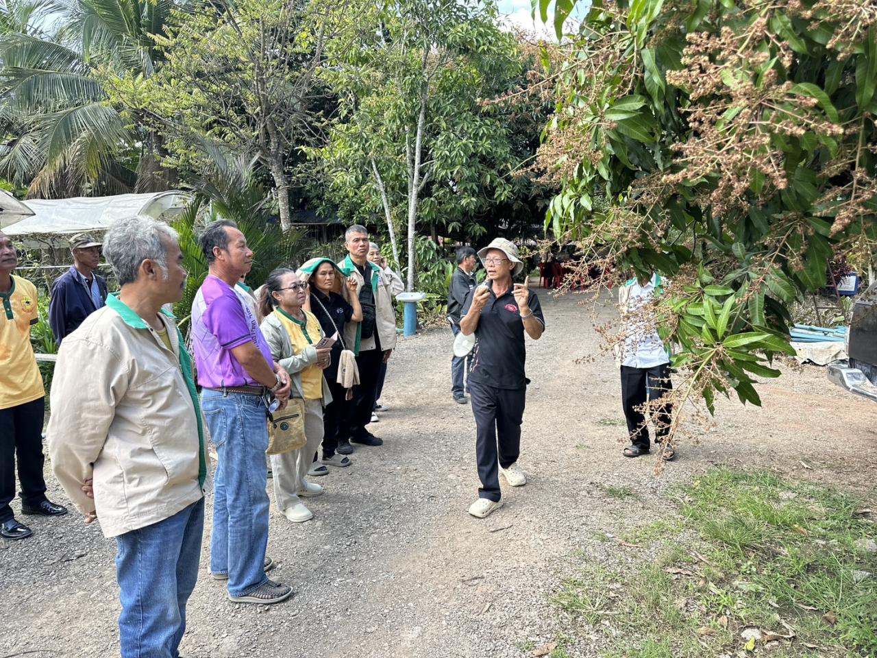 ภาพประกอบที่ 8