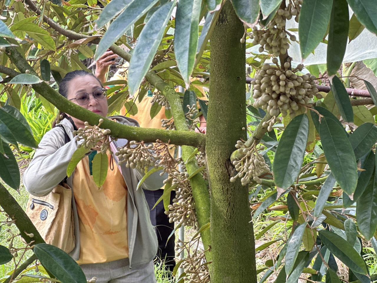 ภาพประกอบที่ 11