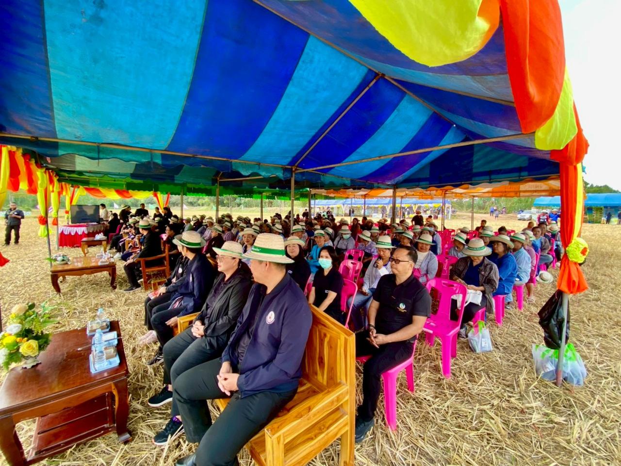 ภาพประกอบที่ 11