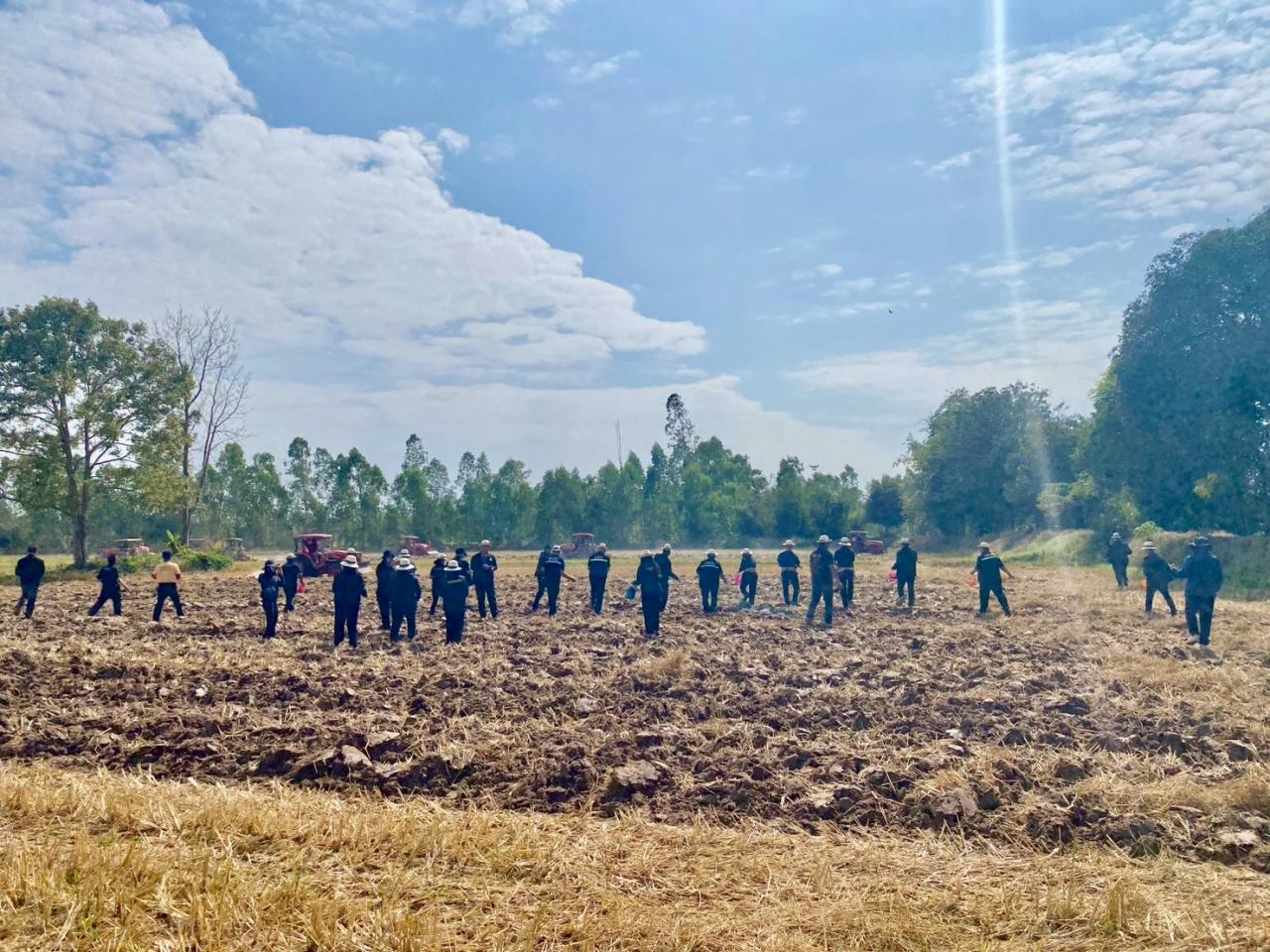 ภาพประกอบที่ 13