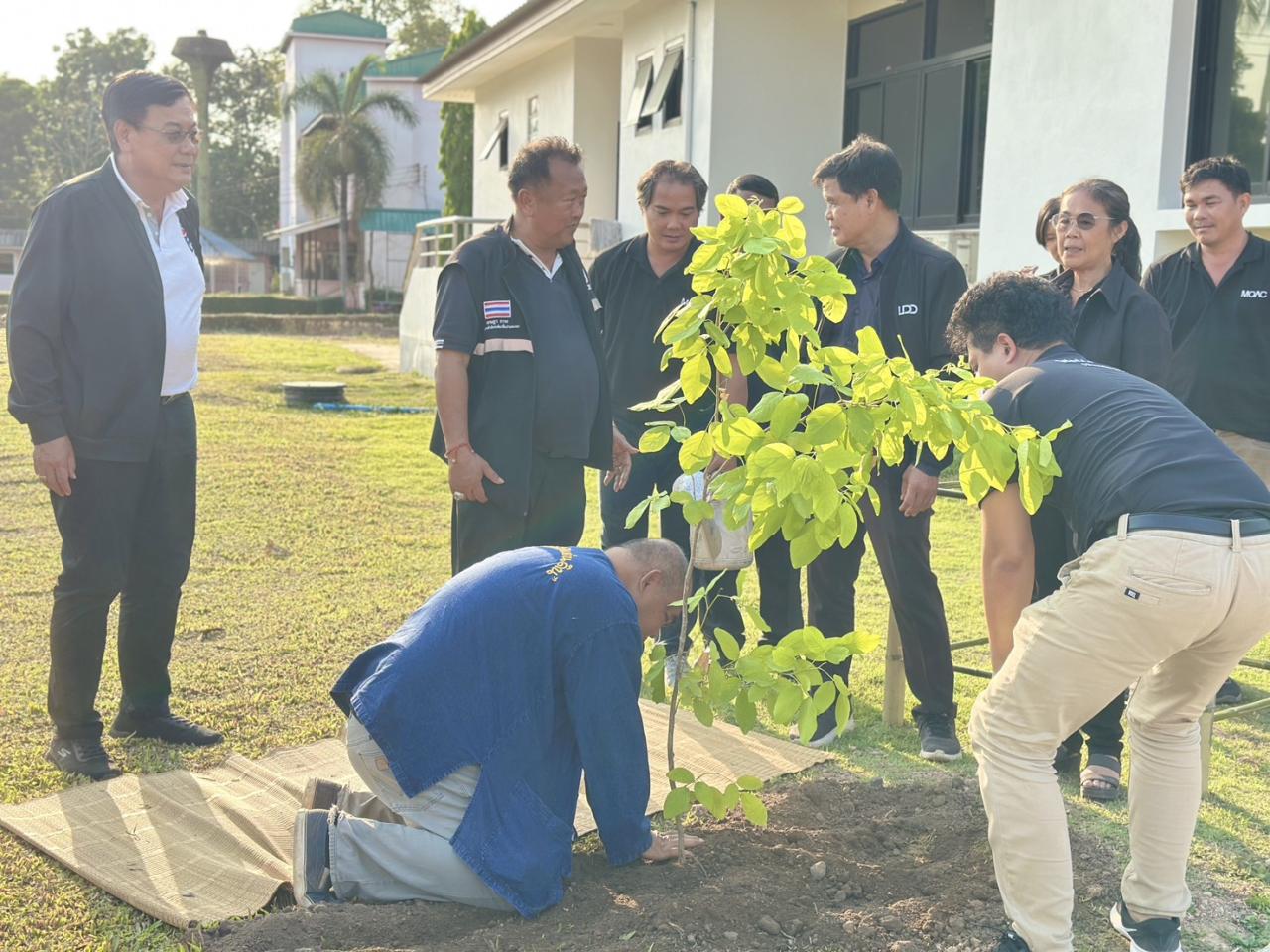 ภาพประกอบที่ 3
