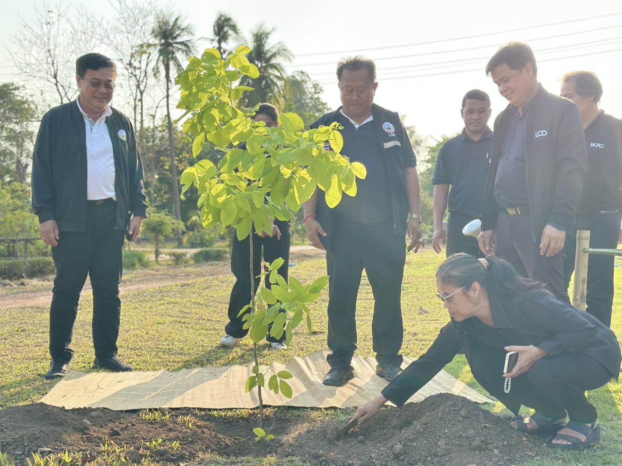 ภาพประกอบที่ 4