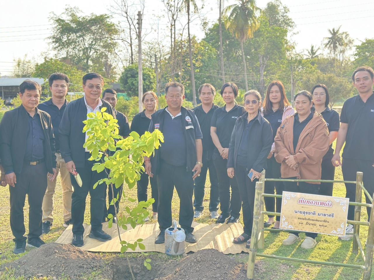 ภาพประกอบที่ 6