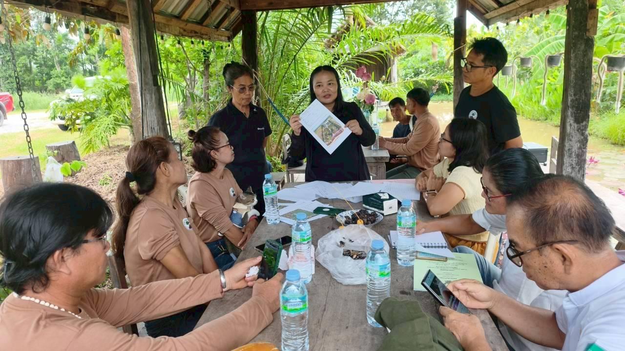 ภาพประกอบที่ 1
