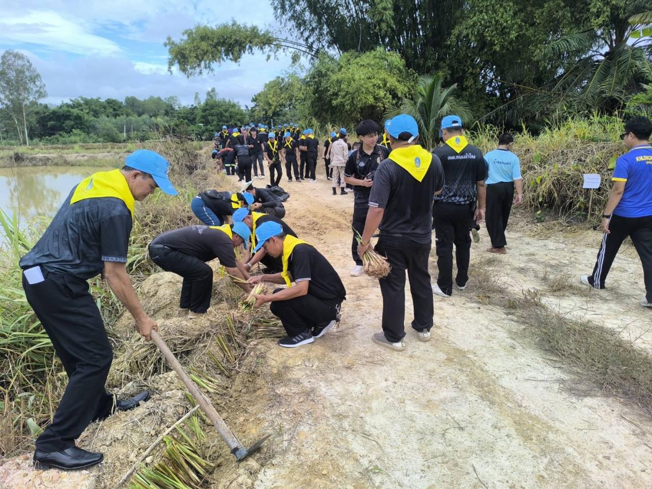 ภาพประกอบที่ 15