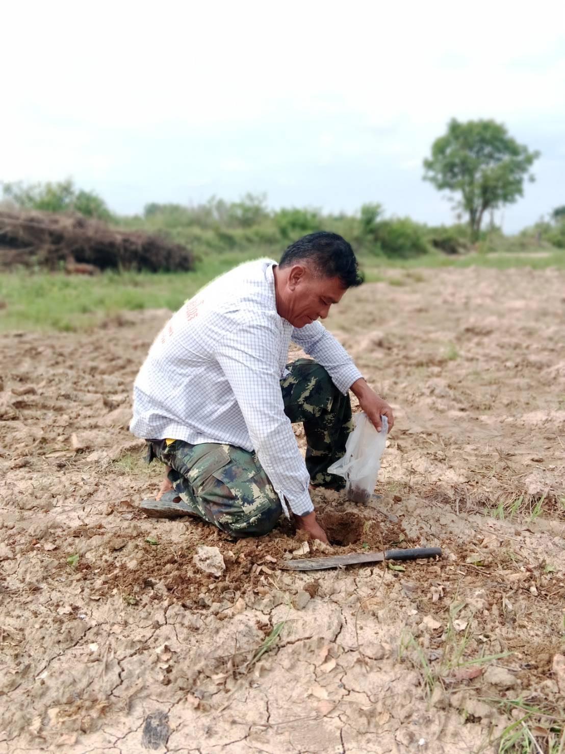 ภาพประกอบที่ 2