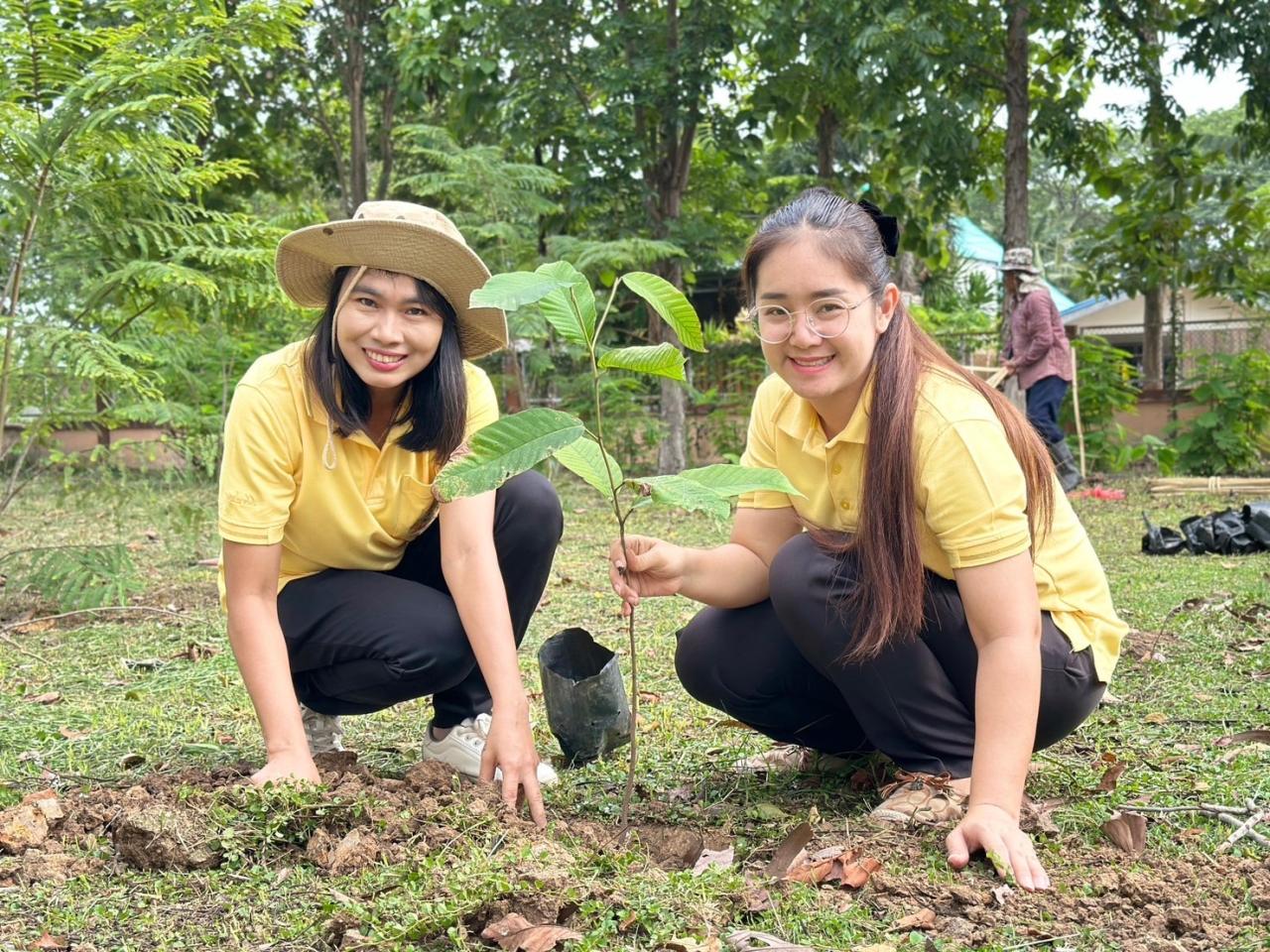 ภาพประกอบที่ 1