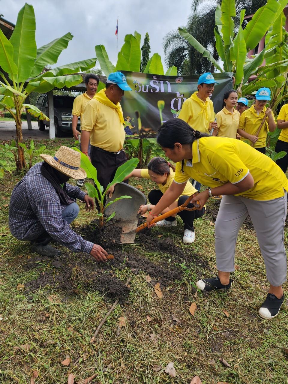 ภาพประกอบที่ 8