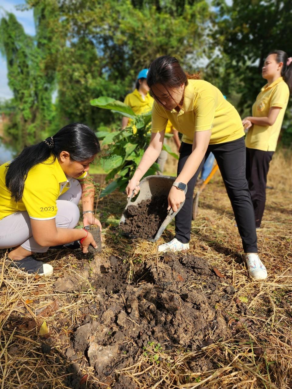 ภาพประกอบที่ 5