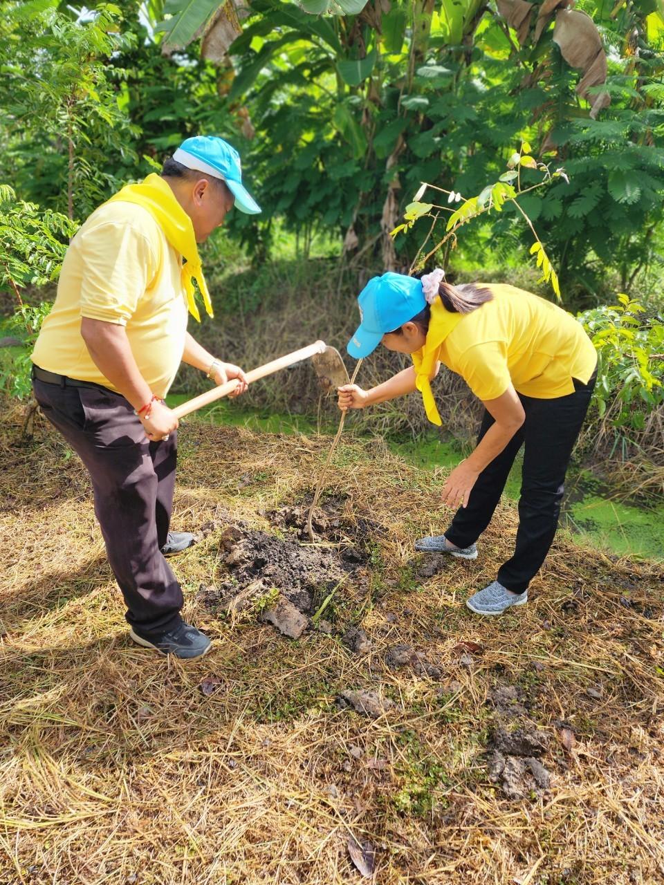 ภาพประกอบที่ 0