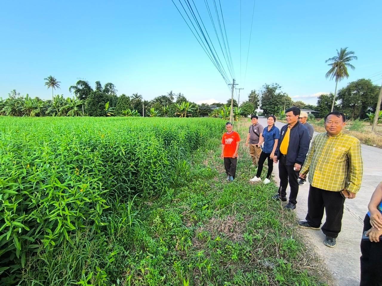 ภาพประกอบที่ 4