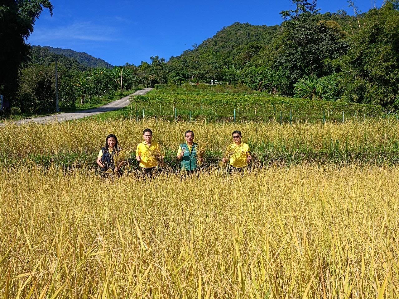 ภาพประกอบที่ 3