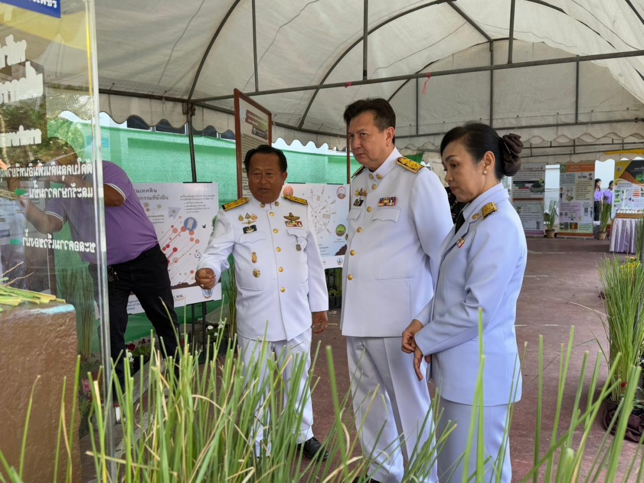 ภาพประกอบที่ 12