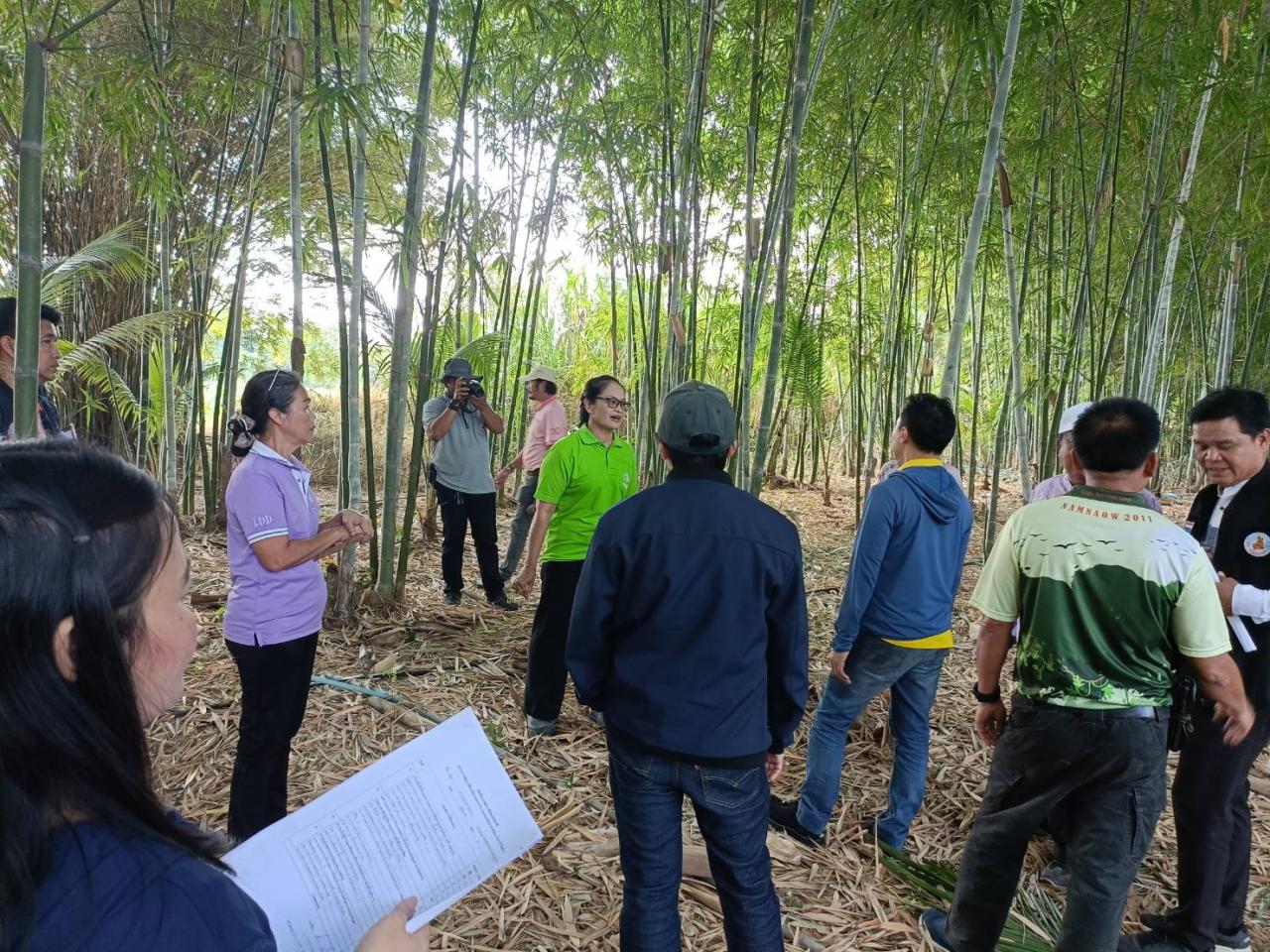 ภาพประกอบที่ 8