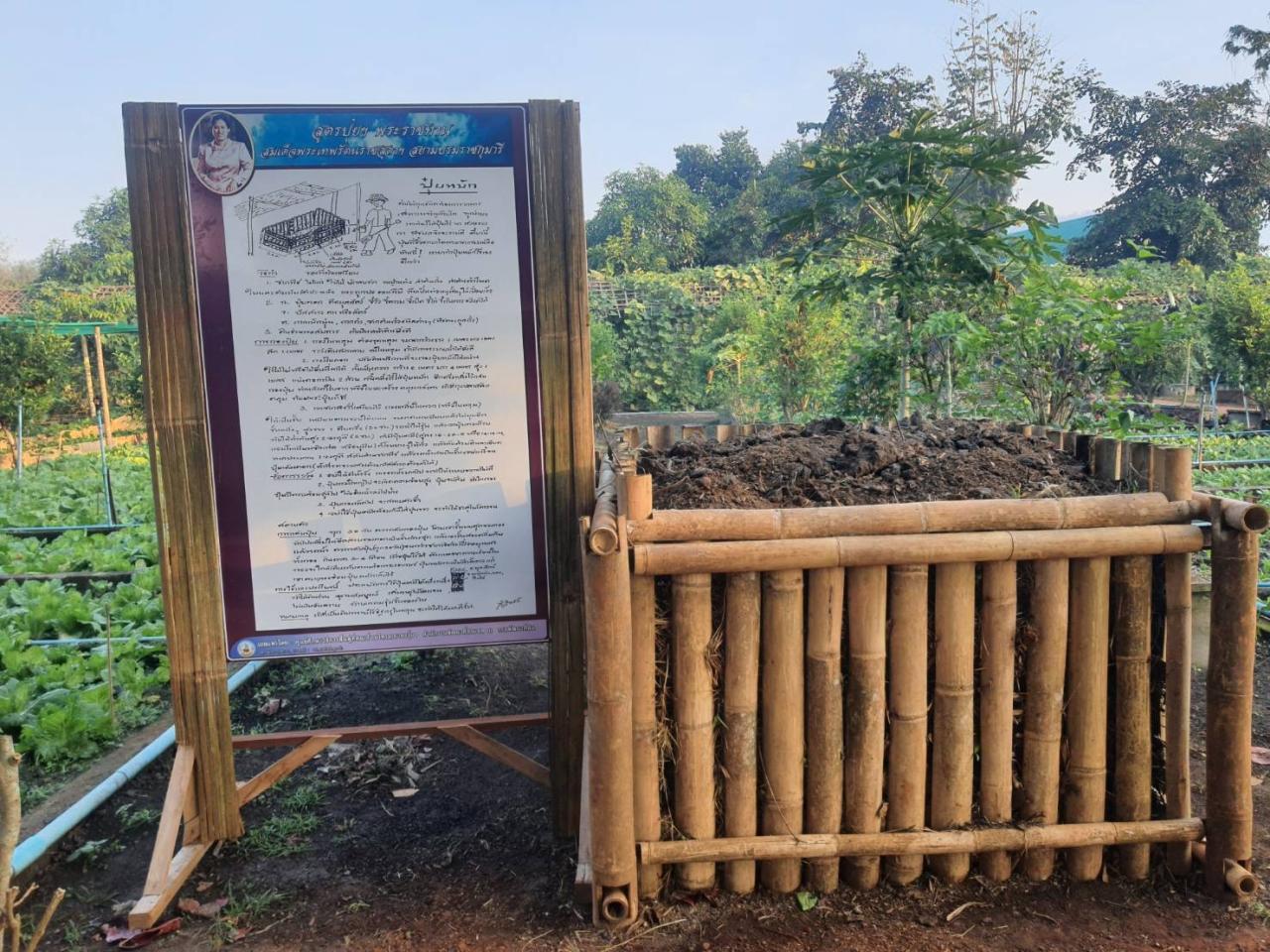 ภาพประกอบที่ 1