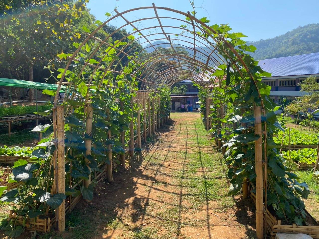 ภาพประกอบที่ 2