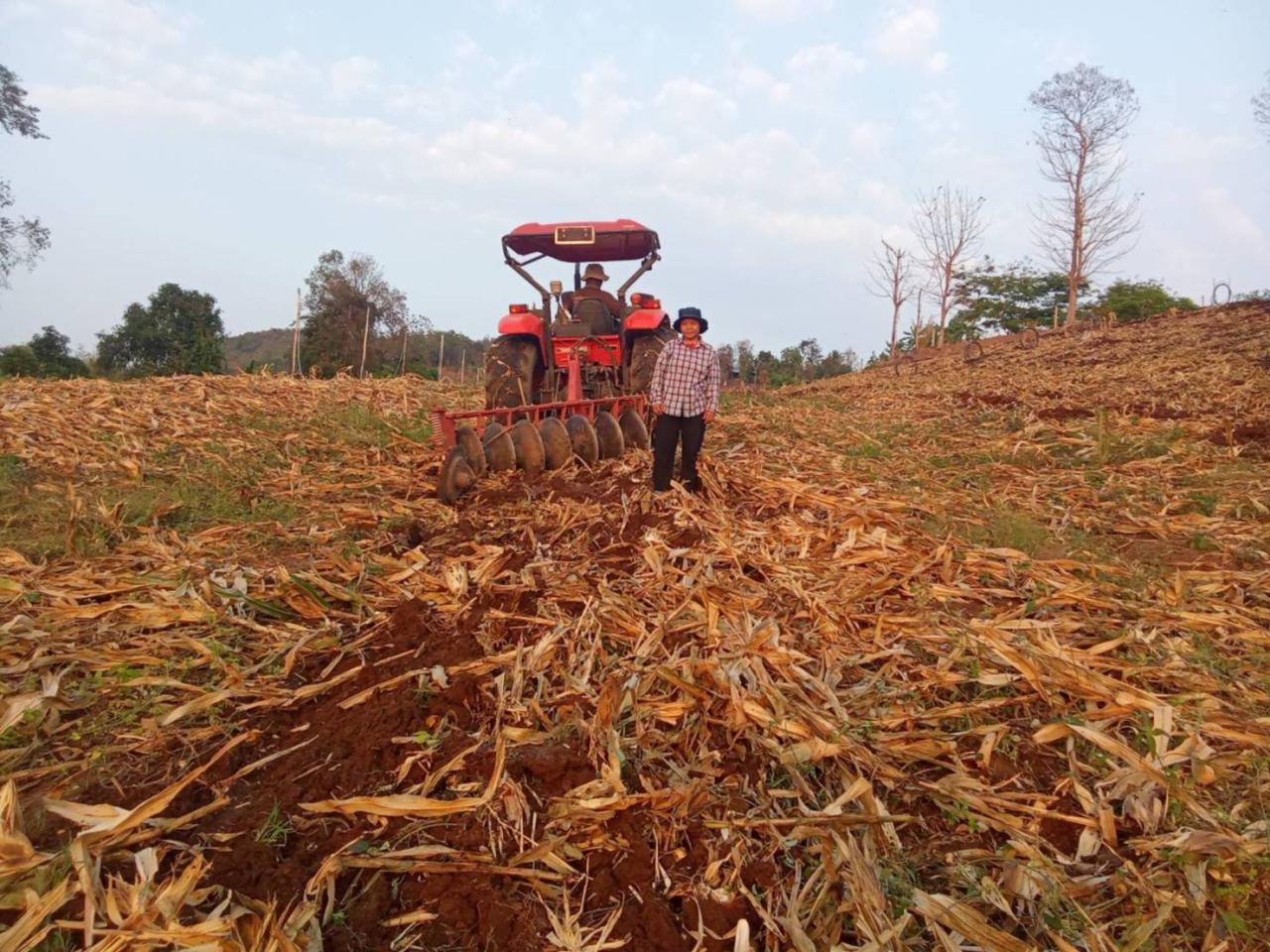 ภาพประกอบที่ 1