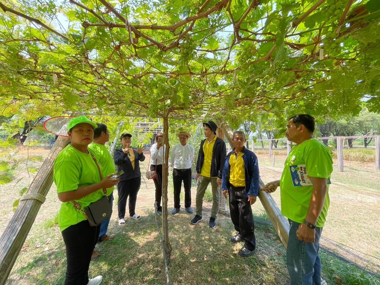 ภาพประกอบที่ 5