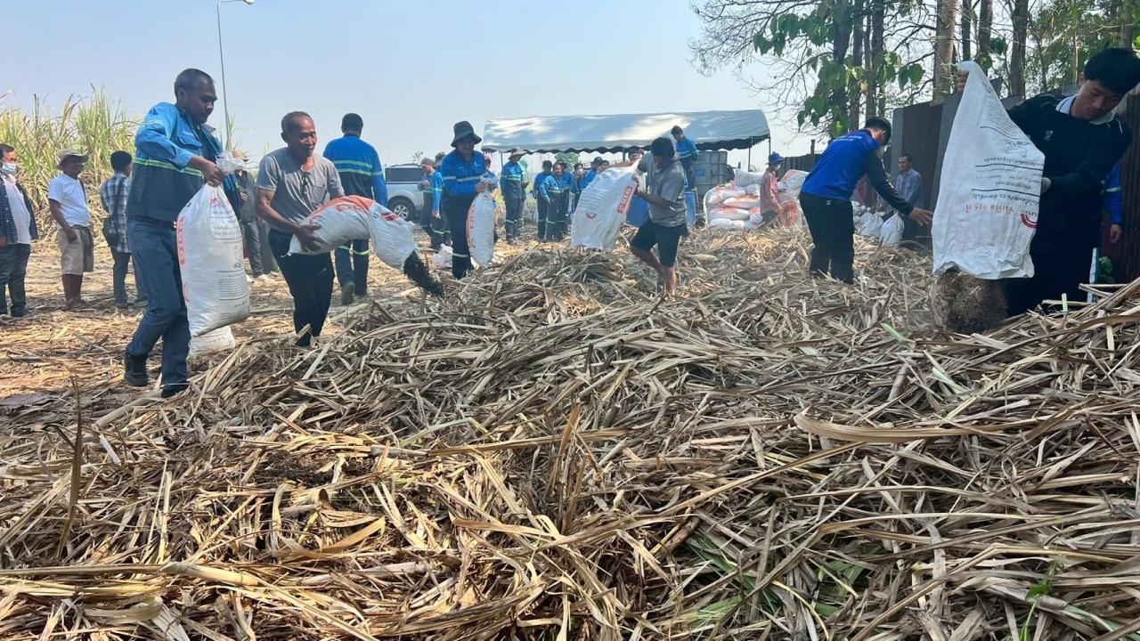 ภาพประกอบที่ 5