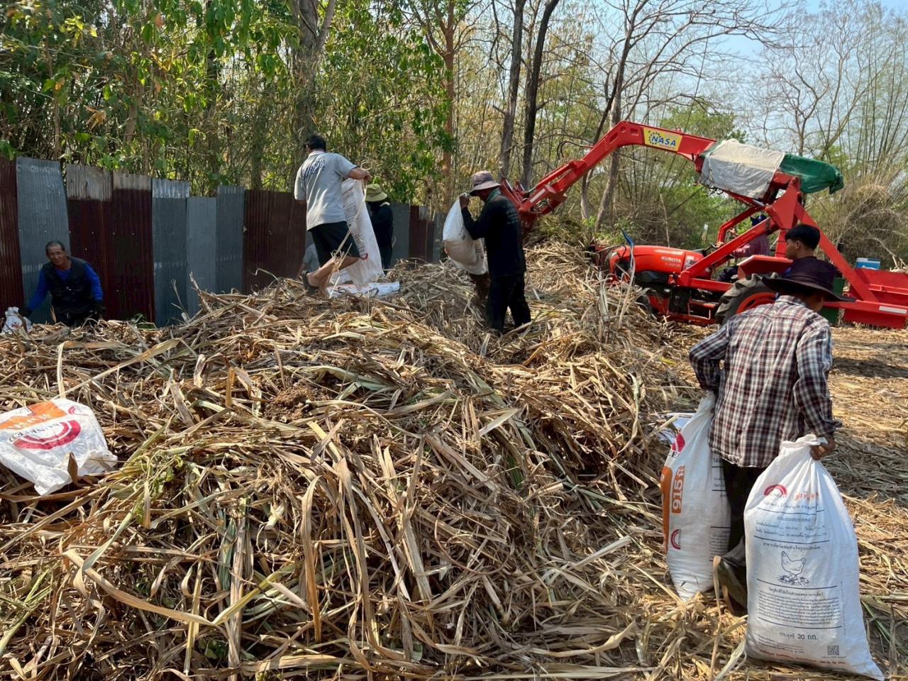 ภาพประกอบที่ 4