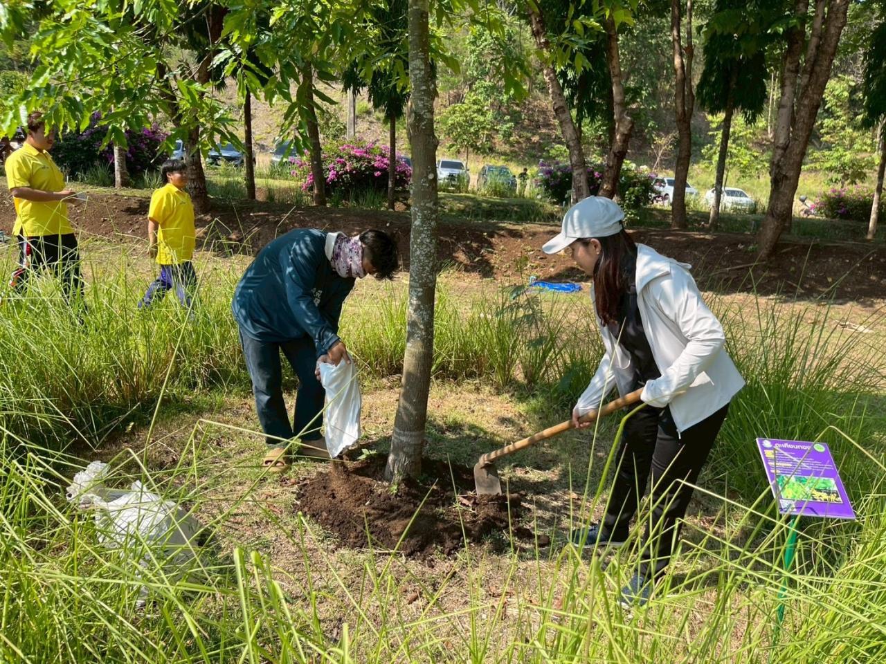 ภาพประกอบที่ 1