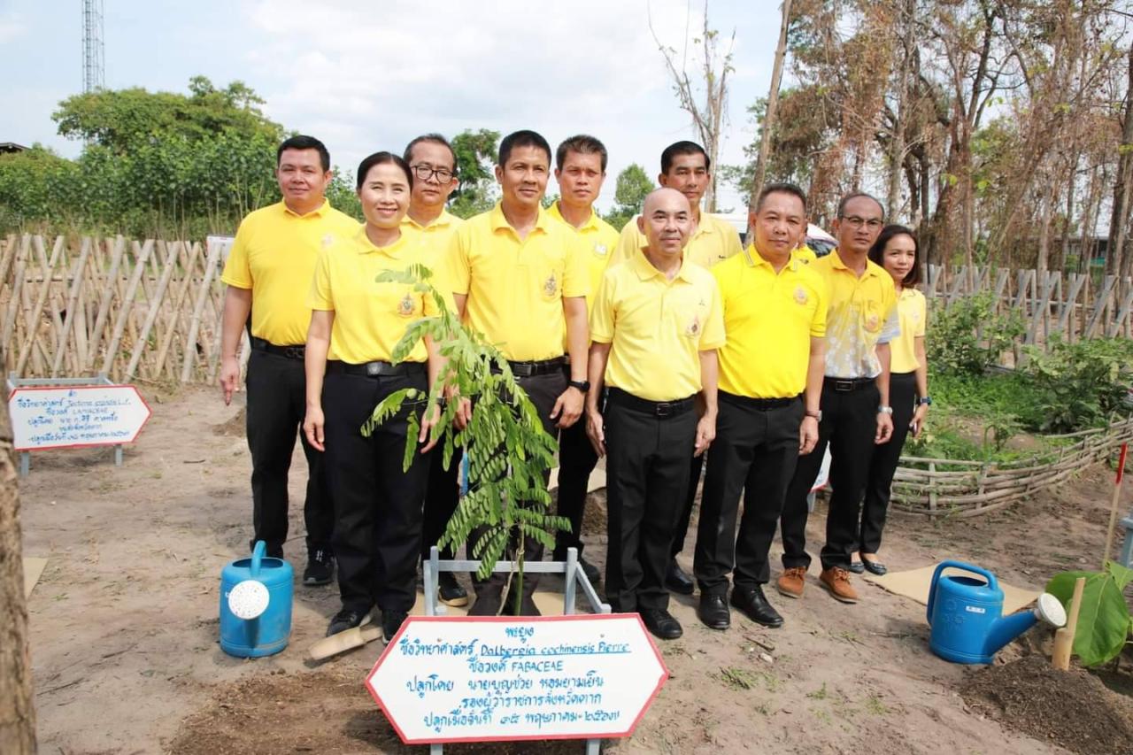 ภาพประกอบที่ 4