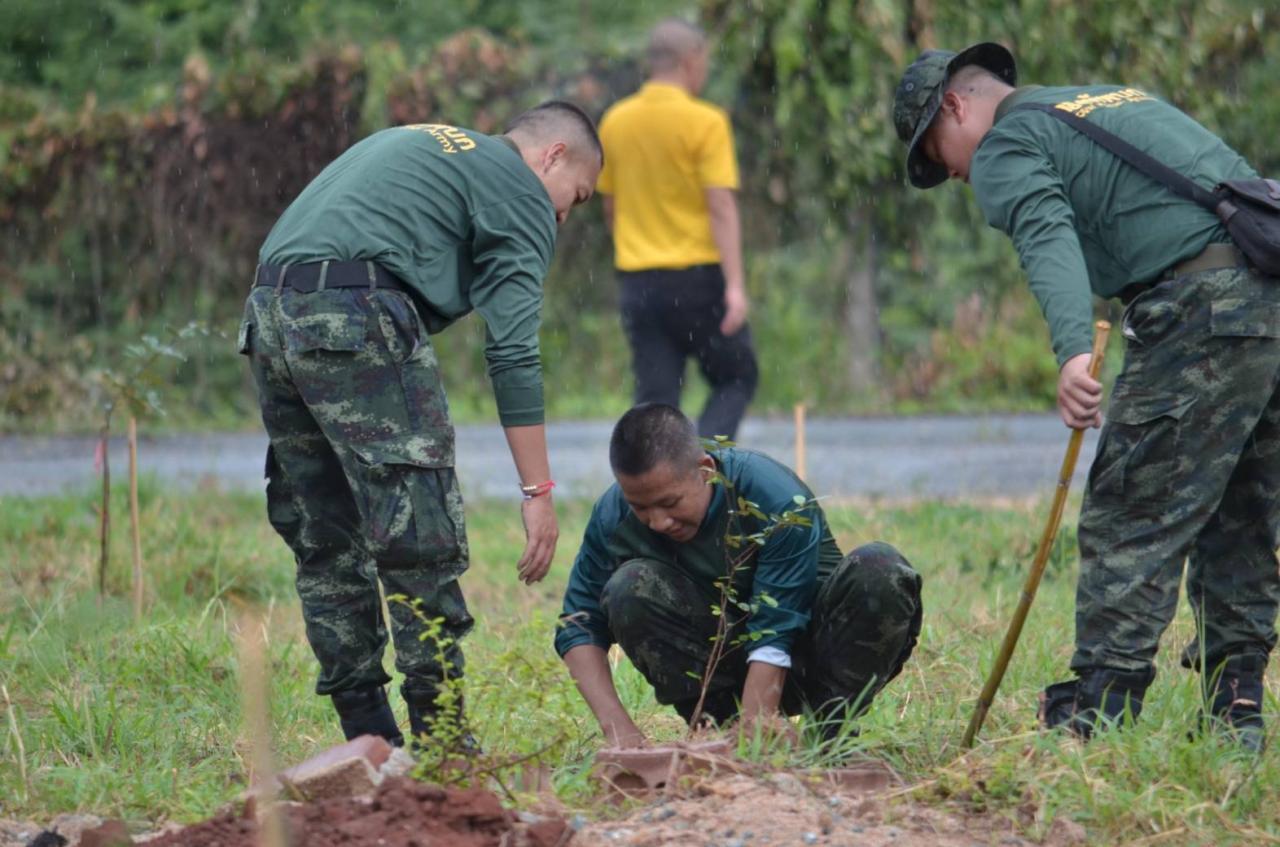 ภาพประกอบที่ 11